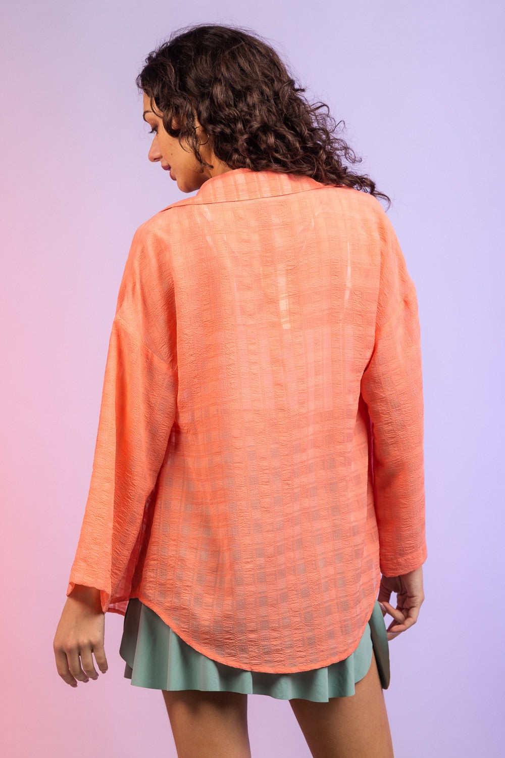 Sheer Plaid Blouse