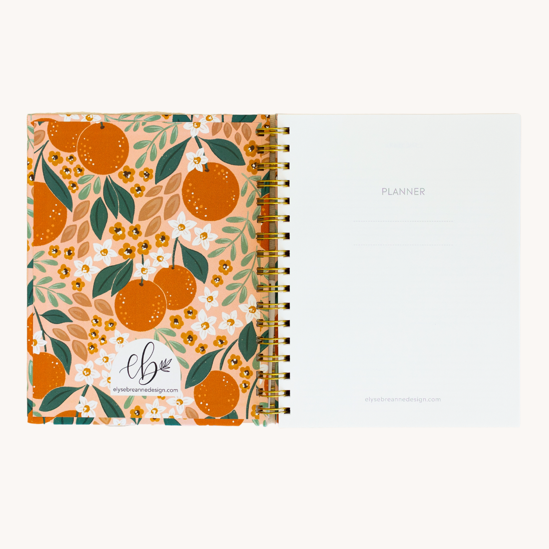 White Anemone Undated Planner